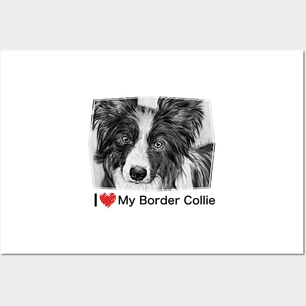 Border Collie Stare Wall Art by BHDigitalArt